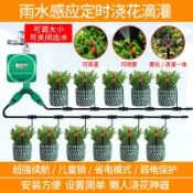 協貿國際日用品生活3館 自動定時澆花器花園澆水智能灌溉滴灌噴淋系統懶人噴水神器大屏幕