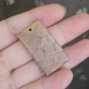 《希晶晶石》珊瑚玉/菊花玉項鏈墜/吊墜 玉化帶閃 實物拍攝 一物一拍 無修圖無濾鏡 台灣現貨不用等  BDE-B168