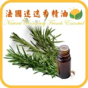 法國迷迭香精油 天然單方精油 正草本精油 迷迭香精油 Natural Rosemary French