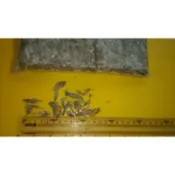 阿佑水產活蝦冷凍小溪蝦（5送1）