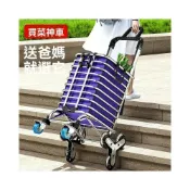 (店+)自在戶外 ✅買菜小拉車家用便攜購物車可折疊老人爬樓拉桿小推車網紅拉貨拖 18c