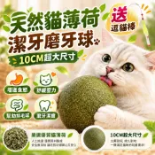 貓薄荷球 貓草玩具 貓咪磨牙球 貓薄荷 貓草球 蟲癭果大球 貓草玩具 木天蓼果實 旋轉貓抓球 貓薄荷玩具 去毛球 貓草球