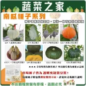 (店+)【蔬菜之家】南瓜系列種子 貝貝南瓜 銀栗南瓜 芋香南瓜 橙鳳小南瓜 栗子南瓜 迷你南瓜 各包裝數量詳見內文