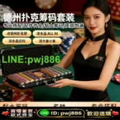 超值好物館 [歡迎詢價 可開發票]麻將籌碼套裝高端棋牌室專用籌碼高檔鋁箱收納麻將館德州撲克籌碼