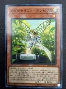 遊戲王  LVP1-JP078 芳香熾天使-歐白芷 普卡