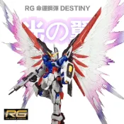 【模神】現貨 附支架 模星社 RG 1/144 #11 DESTINY 命運鋼彈 專用光翼 光翼特效件 光之翼