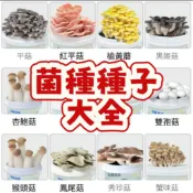 🔥次日達-（菌種種子大全） 當季新籽 可食用菌種 澆水就長 懶人易種植 鮮嫩美味 營養豐富 #超優惠