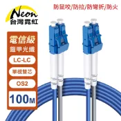 台灣霓虹 防鼠咬防拉防彎折防火LC-LC單模雙芯OS2鎧甲光纖線100米 客製化