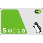 🚂小豪模型2🚂 現貨全新實體卡 SUICA ICOCA 西瓜卡 海豚卡 原子小金剛卡 日本交通悠遊卡 送地鐵線上交通圖