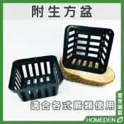(店+)附生方盆 6吋 附生盆 鹿角蕨 蕨類 空氣鳳梨 根部生長 透氣盆 方盆【HOMEDEN霍登園藝】