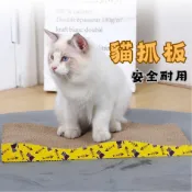 ［在台現貨 21天鑑賞期］貓咪玩具 貓抓板 貓咪抓板 瓦楞紙板 寵物