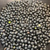 〔心享食誠行〕青仁黑豆 Black Bean / Soya Bean 600g/3kg 現貨 附發票