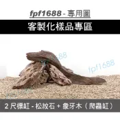 客製化造景-2尺標缸-松紋石+象牙木/爬蟲缸