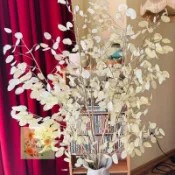 現貨速發 💮（新品銀扇草種子）多年生金錢花、銀幣草 月亮草種子 家居裝飾果莢種子 盆栽露台庭院可種植 95%發芽率
