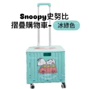 全新 現貨 Snoopy 史努比美好生活 摺疊購物車-冰綠色 摺疊車 購物車 收納車 手推車 推車 拖車