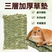 兔兔草墊兔子腳墊龍貓荷蘭豬手工草編兔子龍貓倉鼠籠子腳墊草窩墊貓兔犬 兔子草墊牧草墊兔子磨牙磨牙玩具天竺鼠玩具草窩踏墊腳墊