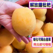 解放鐘枇杷苗🟡矮化+施肥🟡南北陽台都可種 枇杷 枇杷苗 樹苗 果苗 矮化果樹 矮生盆栽 矮化盆栽 水果苗 水果盆栽