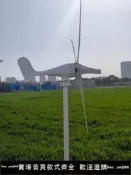 聚寶盆萬貨行 【店家補貼】風力發電機小型家用路燈船舶戶外車載便攜工程用12V24V48V足功率