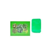 (店+)【安欣達】安欣 心海抹草淨身皂 抹草 香茅 芙蓉 薄荷X10塊(100g/塊 安欣 安欣達 二姑 正品 ㊣ 100% 公司貨)