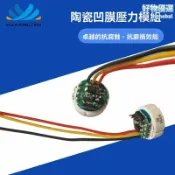 檸檬精選屋 【高壓穩定】陶瓷壓力模塊 壓力傳感器 電壓信號 600Bar高壓 耐腐蝕陶瓷膜 精準測量 適用於咖啡機水泵 空壓機 儲能系統