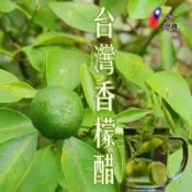 @台灣香檬醋🇹🇼71恩典山桔仔醋🍋小農手作扁實檸檬醋 無糖台灣香檬醋 玻璃瓶裝 長榮林心如愛含果肉