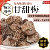 現貨🔥甘甜梅 顧德食品 果乾蜜餞 特大 甜菊梅 酸梅 梅子 泡梅子茶 古早味零嘴 零食 160g 可可生活好食尚