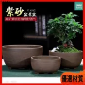 紫砂花盆 大口徑 多肉盆栽 陶瓷盆器 透氣粗陶盆 盆景盆 宜興 陶盆 圓形 盆栽 園藝 花器 仙人掌 蘭花盆拇指盆小盆栽
