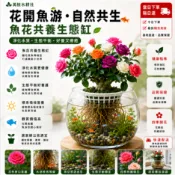 不怕養不活｜水培土栽自由選【四季開花招財富貴花】現貨 沙漠玫瑰盆栽 重瓣沙漠玫瑰花苗 盆栽 濃香型 超耐旱風水吉祥植栽