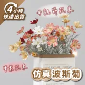 🌼4H出貨🌼 仿真波斯菊 仿真雛菊 小雛菊 雛菊花束 仿真花 永生花 假花 拍照道具 畢業花束 畢業禮物 母親節 花束