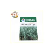 (店+)【向花緣】農友 迷迭香 - 香藥草種子