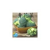 (店+)信風 －G1青花菜／青菜／冷凍／午餐／料理包／調理包／加熱即食／冷凍食品