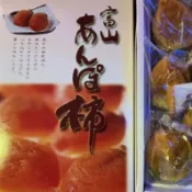 明年見【日本原裝柿餅禮盒】市面上少量小盒裝 日本 柿餅小禮盒 7-10入裝