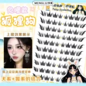 EFP大美人-2026新❤️夢鹿正品超美犬系狐狸眼斜飛分段超自然濃密三部曲~免膠自黏假睫毛10組金羽夾組