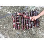 紅皮甘蔗30公分 $35一節 可食用可種植 一單10節出貨