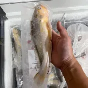 紅毛港海鮮市集 嚴選東海黃魚  去鱗去鰓去肚 三去 真空包裝 規格200/250