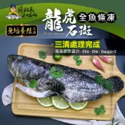 【蘇班長安心石斑】龍虎斑條凍 純海水養殖 已三清處理完成 外銷加拿大 多家星級飯店指定款 過年團圓桌上必備