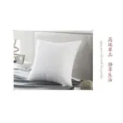 松之屋 〉抱枕 枕心（尺寸60*60cm 台灣製)