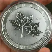 楓葉銀幣10盎司~不分年份，加拿大楓葉銀幣，銀幣，錢幣，收藏，紀念幣，幣～加拿大楓葉銀幣10盎司~約300多公克銀幣保真