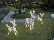 LED 3D立體糜鹿 造型燈 /LED2D立體麋鹿/ LED聖誕燈