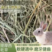 台灣發貨 頂級甜燕麥 提摩西一割牧草 苜蓿 甜小麥草 百慕達草 高纖補營養 幫助磨牙排毛 適合兔子 龍貓 天竺鼠 天然健