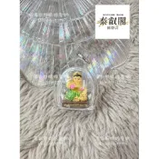 招財女神佛牌聖物現貨泰國防水殼孔雀王古巴阿里雅察