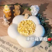 凍乾蘋果粒 水果乾 蘋果乾 寵物果乾 倉鼠零食 小寵零食 兔子零食 天竺鼠 蜜袋鼯 三線鼠 銀狐鼠