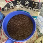 【50魚】浮水魚飼料 鰻魚飼料 幼魚專用飼料