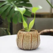 花器癮®焦糖泡泡 花盆 有孔/無孔 陶瓷花瓶 簡約風 粗陶盆 陶盆 多肉花盆
