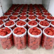 💕臺灣出貨 代購💕 【特價搶】新疆小西紅柿幹番茄幹聖女果乾蜜餞酸甜可口水果