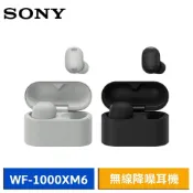 SONY 索尼 WF-1000XM6 真無線藍牙耳機 無線降噪耳機