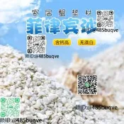 寄居蟹專勇沙天然墊材珊瑚沙菲律賓沙造景原生貝殼砂三湖慈雕底砂