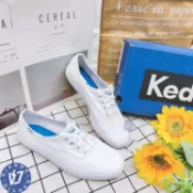 帝安諾-實體店面(1) Keds CHAMPION 帆布鞋 小白鞋 基本款 經典不敗款 百搭  9191W110002