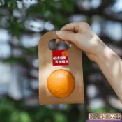 臺灣免運24H💗 水果包裝盒 牛皮紙手提袋 蘋果橙子禮盒 單雙果紙盒 鏤空提把設計 十入多尺寸款 貼紙組另選 開學送禮