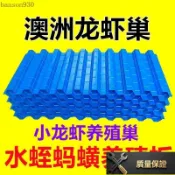 🛠️✨桃園有貨/免運✨澳洲淡水龍蝦巢蟹屋小龍蝦躲避窩螞蝗水蛭闆蜂巢螃蟹養殖巢人工